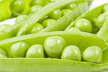 Fresh pods of peas on a white background