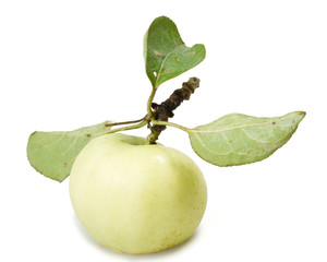 Fresh apple on a white background