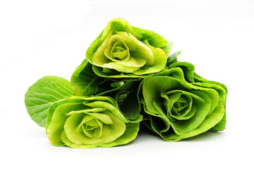 chinese cabbage flowers