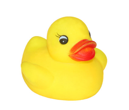 Image of a cute rubber duckling on white
