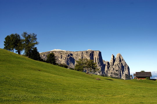 sciliar