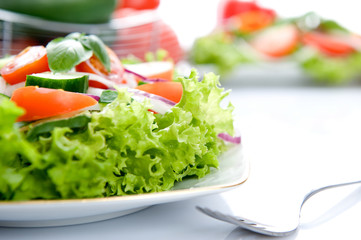 Fresh salad with onion, tomato and basil