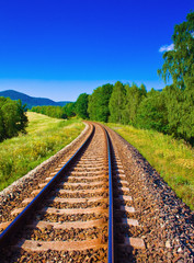 picture of nature with empty railway