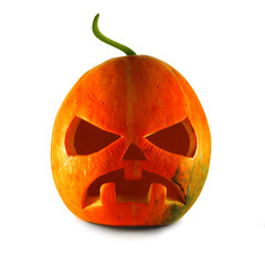 orange pumpkin isolated on white