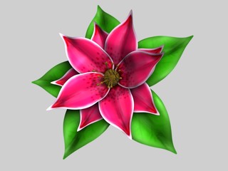 Gnome Flower/on grey Background