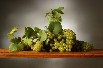 Uva bianca da vino