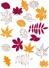 Herbstlaub als Silhouette und Kontur einfach editierbar