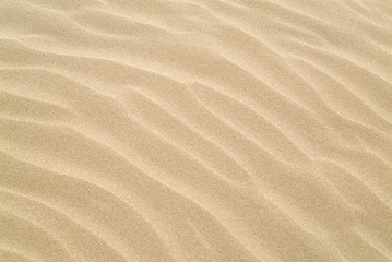 Fototapeta na wymiar fale na piasku