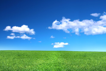 view of peaceful grassland, blue sky above,