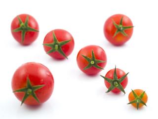 Mini Tomato