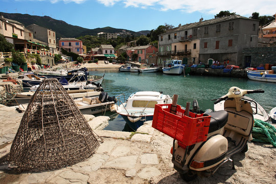 centuri port de corse