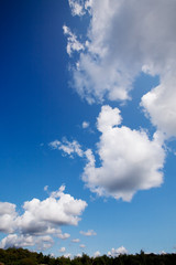 Obraz premium A cloud background with cumulus clouds