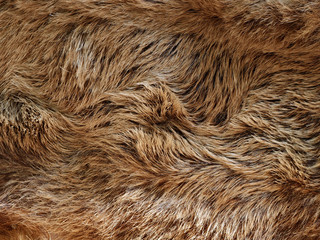 Wildschweinfell