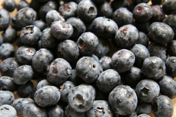 wet fresh blueberry