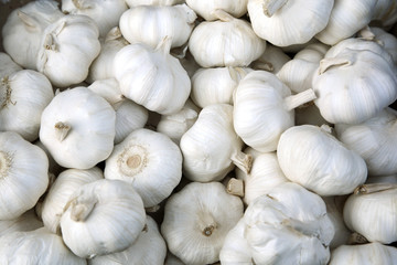 Garlic background