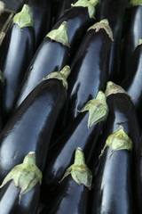 Eggplant backgorund