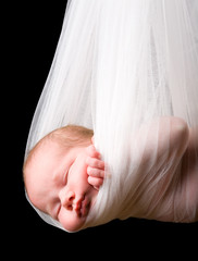14 days old newborn baby girl carried in white cloth