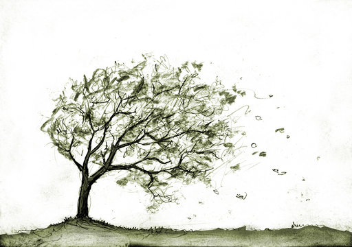 Herbstbaum2