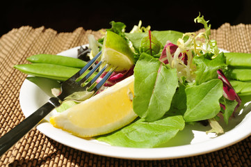 Lite Salad And Designer Place mat