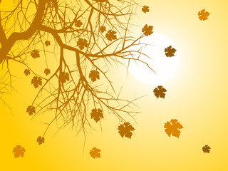 Autumn leaves background vector