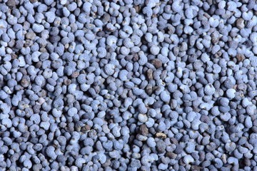 Poppy seeds close-up background texture