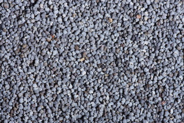 Poppy seeds close-up background texture