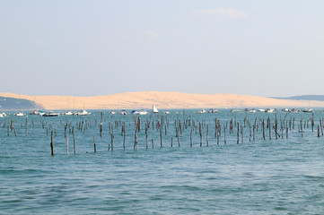 la dune du pilat