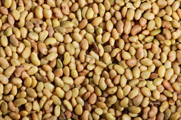 Fototapeta premium Colorful seeds mixture close-up background texture
