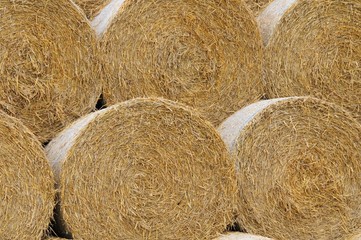 Haybales