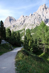 Sentiero della montagna