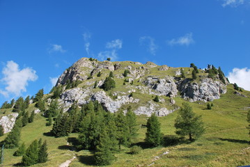 Montagna vegeta