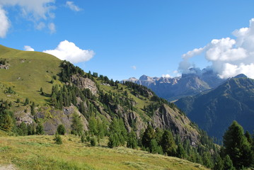 Verde delle Dolomiti