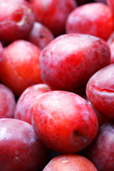 Lots red ripe plums close-up. Shallow DOF!