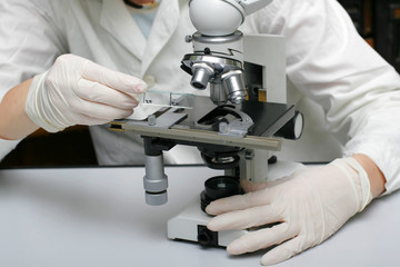 Work with a microscope