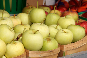 Green apples for sale at a fruit and vegetables open market
