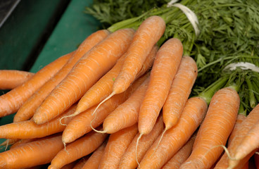 botte de carotte