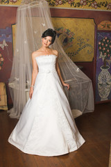 Beautiful Brunette bride in a white gown