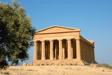 doric temple of Concordia in Agrigento with olive tree