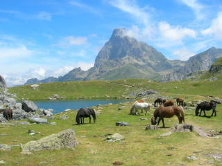 Lac castérau - lac d'Ayous