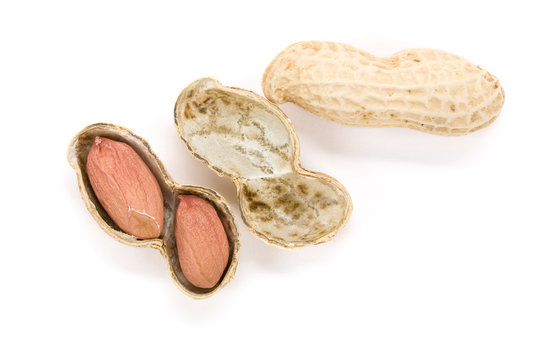 Peanuts with white background, close up
