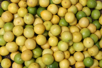 Lime Background