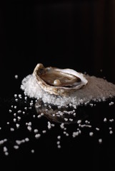 Oyster