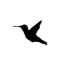 Flying Hummingbird silhouette