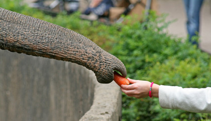 Füttern