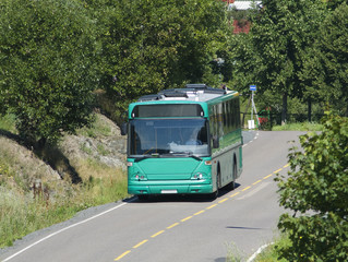 Green bus driving through an area with lush vegetation