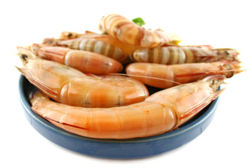 Fresh green shrimps and tiger prawns ready for the kitchen.