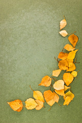 grunge background with dry leaves