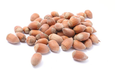 fresh hazelnuts isolated on white