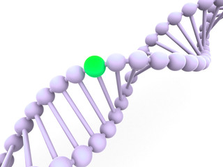 gene in DNA. 3d