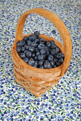 Fototapeta na wymiar Blueberry Basket